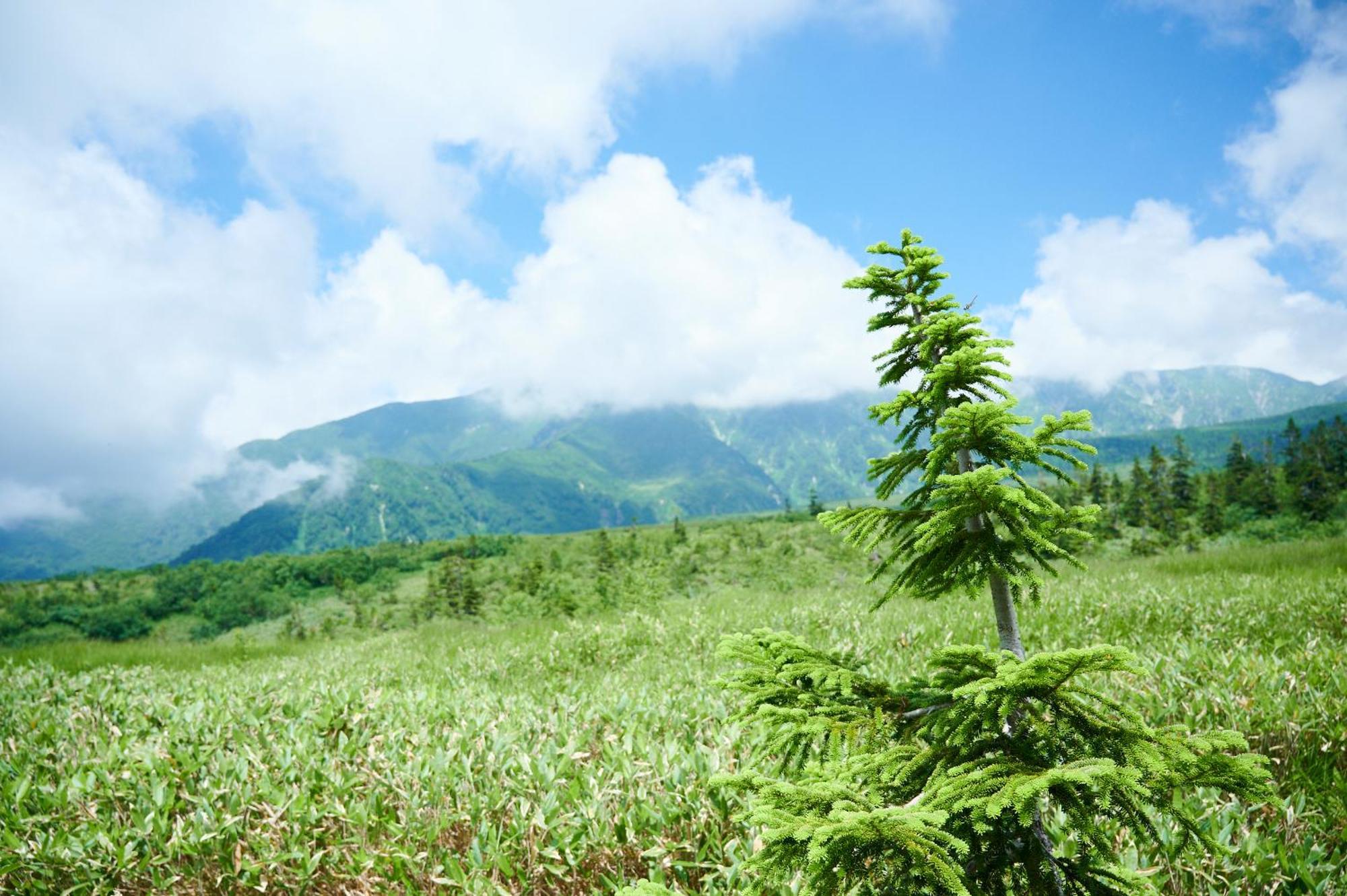 Midagahara Hotel Tateyama  Zewnętrze zdjęcie